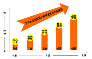 战略规划